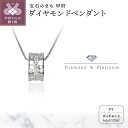 【ふるさと納税】 ネックレス ペンダント レディース ジュエリー アクセサリー ダイヤモンド 0.28ct プラチナ リング状 スライド式 アジャスター付き 45cm ジュエリーケース付 ギフト プレゼント 鑑別書付 保証書付 k122-047