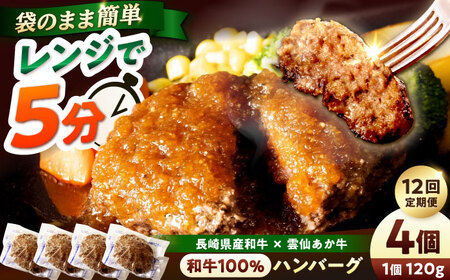 【12回定期便】 【レンジ調理】 和牛100％ハンバーグ4個 長崎県産和牛と希少あか牛（A4またはA5ランク） 長与町/炭火焼肉あおい[EBW081]
