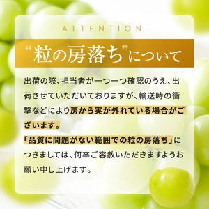 大人気! 長野県産 シャインマスカット 約1kg 秀品 〈2025年9月中旬～11月上旬発送〉| 果物 くだもの フルーツ ぶどう ブドウ 葡萄 長野県 信州 南信州 飯田市