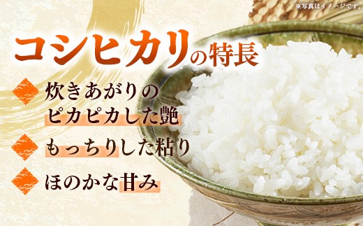 【令和8年産】飯豊町産 コシヒカリ 玄米 30kg - おこめ 米 ごはん 旨味 粘り こしひかり 単一米 銘柄 ブランド米 おすすめ 送料無料 マルシチ米穀 山形県 飯豊町