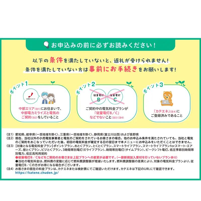 【7/21以降 受付一時停止】揖斐川町産CO2フリーでんき 100,000 円コース（注：お申込み前に申込条件を必ずご確認ください） 中部電力ミライズ