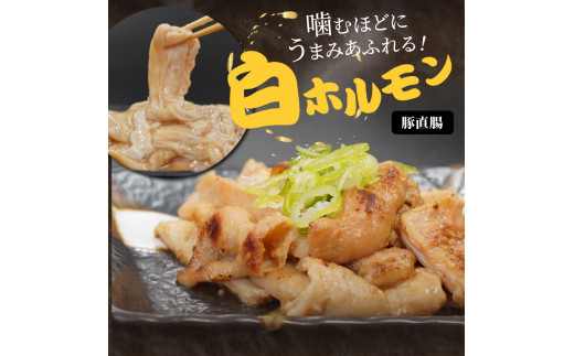 ホルモン五十番（上ホルモン・白ホルモンお試しセット）N122-ZA0294