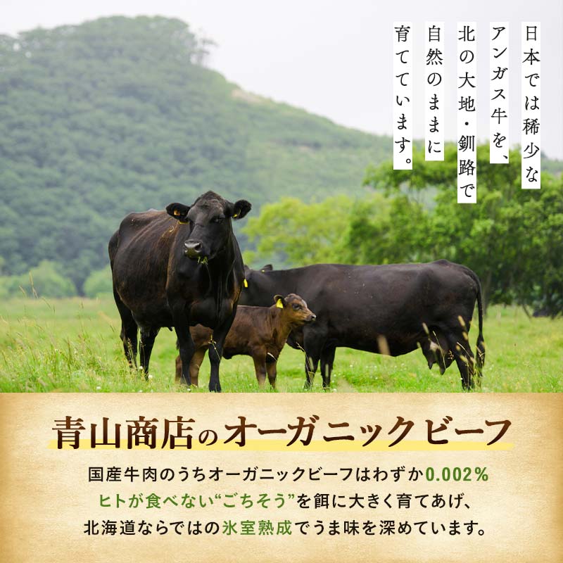 釧路生まれ、釧路育ちのオーガニックビーフ 生ハンバーグ120g×4枚 ふるさと納税 肉 F4F-1446