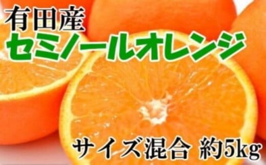 
										
										和歌山有田産セミノールオレンジ約5kg(サイズ混合) ※2025年4月中旬～5月上旬頃に順次発送予定
									