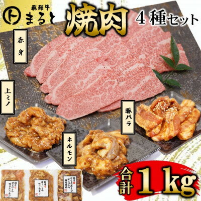 【ふるさと納税】【飛騨牛】焼肉4種B-1セット　赤身肉と味付けホルモンなど　合計1kg【配送不可地域：離島】【1616670】