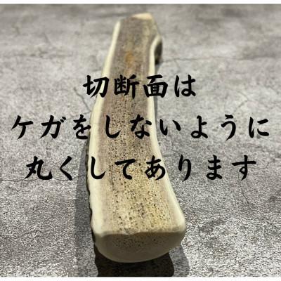 ふるさと納税 帯広市 鹿の角 半割り 15cm 2本 犬のおもちゃ デンタルケア 小・中型犬用 |  | 03
