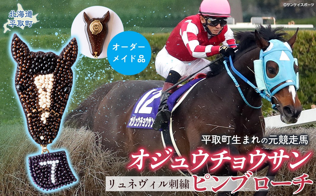
                  【オーダーメイド品】オジュウチョウサン（中山大障害時）リュネヴィル刺繍ピンブローチ 【 ふるさと納税 人気 おすすめ ランキング ブローチ 馬 競馬 競走馬 オジュウチョウサン グッズ オーダーメイド 北海道 平取町 びらとり 送料無料 】 BRTV003
                