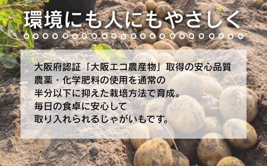 【令和8年度産じゃがいも先行予約】じゃがいも 2.5kg ※6月より発送予定 ニシユタカ ジャガイモ ポテト 馬鈴薯 カレー シチュー 肉じゃが スープ サラダ ポタージュ ポテトサラダ フライドポテ