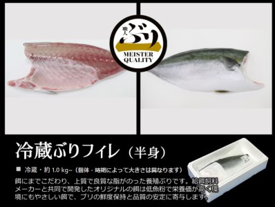 AQ-4702-202605／【鹿児島産ぶり】冷蔵・ぶりフィレ（半身1枚）