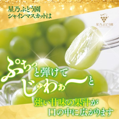 星乃 シャインマスカット 650g以上 1房 数量限定 岡山県産 ぶどう フルーツ 人気ぶどう【配送不可地域：離島・北海道・沖縄県】