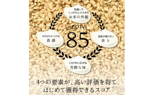 令和8年度　新米 【9回定期】特別栽培米 コシヒカリ ヒロシノキモチ 精米 10kg 総計90kg ブランド米 銘柄米 国産 米 お米 日本米 ギフト 贈り物 備蓄 防災 食品 陽咲玲 はるざれ F6