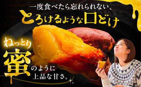 さつまいも 10㎏ / 焼き芋 焼きいも 紅はるか シルクスイート あまはづき 野菜 愛西市 / 川口農園[AEDH002]
