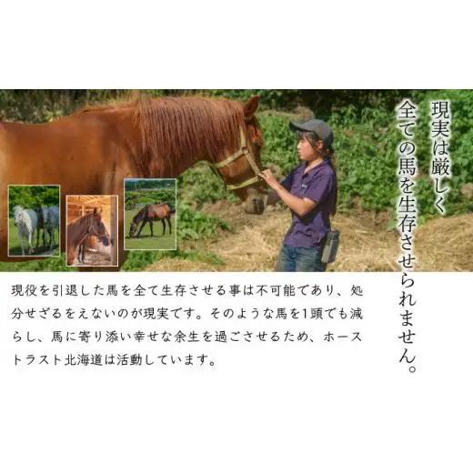 ホーストラスト北海道支援 100万円コース 引退馬 F21H-561