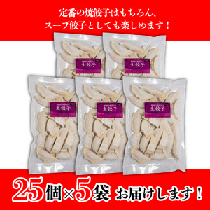 あさの生餃子 【25個入×5パック 計125個】セット 詰め合わせ 餃子のたれ 国産 ぎょうざ 餃子 餃子 餃子 餃子 餃子 餃子 餃子 餃子 餃子 【ASN0021】