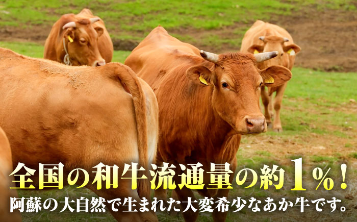 【全6回定期便】熊本和牛あか牛カルビ焼肉用 約400g / 菊陽町 あかうし 熊本県 肉 にく niku ブランド 旨み【有限会社　三協畜産】 [BHAS043]