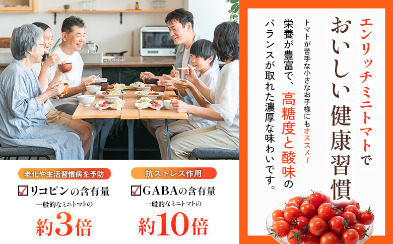 エンリッチミニトマトジャム 200g×2瓶 | オンライン申請 ふるさと納税 北海道 長万部 トマト ジャム エンリッチ ミニトマト 高糖度 フルーツトマト リコピン GABA パン クラッカー 豆腐