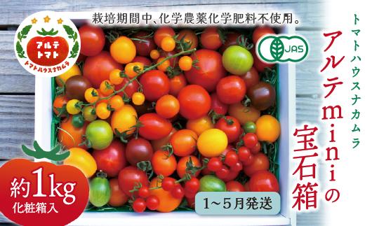 
                  【2026年1月～5月頃発送】＜アルテminiの宝石箱 約1kg×1箱＞フルーツトマト 栽培期間中化学農薬・化学肥料不使用   トマトハウスナカムラ 
                