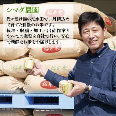 ふるさと納税 小浜市 【福井県産】精米こしひかり2合(約300g)×12パック |  | 03