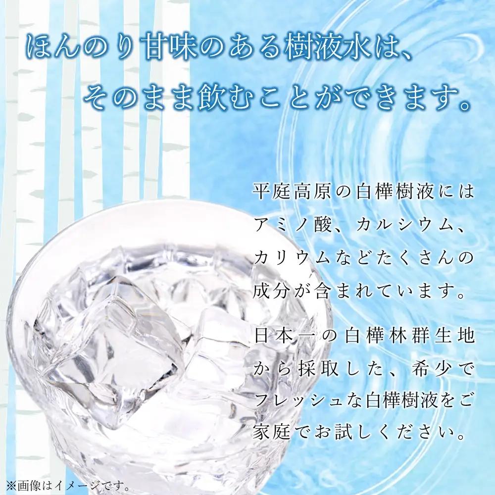 飲む 白樺樹液 100％ドリンク30本 白樺樹液