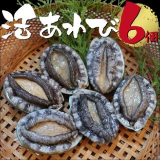 活き蝦夷あわび　6個【配送不可地域：離島・北海道・沖縄県・東北・中国・四国・九州】