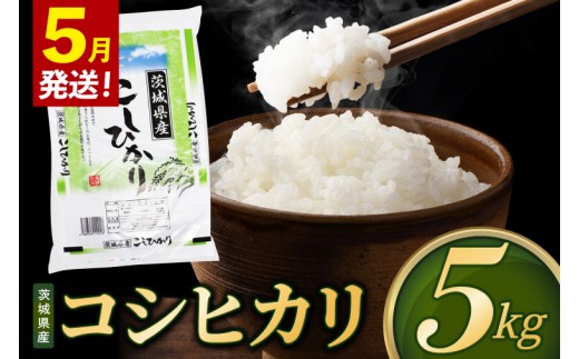 米 コシヒカリ 精米 5kg 令和8年産 茨城県産 お米 こめ コメ ごはん 白米 こしひかり 茨城県産米 単一米 単一原料米 安心 安全 送料無料 国産 人気 数量限定 （85-R8i025_05）