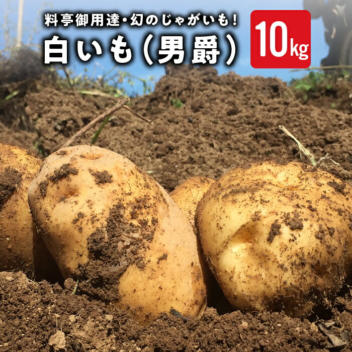 【ふるさと納税】【先行受付2025年発送】料亭御用達！東御市産白いも10kg　御牧八重原農園｜じゃがいも【数量限定】※2025年8月下旬～10月下旬に順次発送予定※着日指定不可