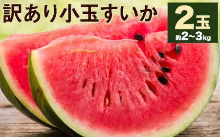 訳あり 小玉すいか 2玉  約2～3kg 【5月下旬-7月下旬頃発送予定】