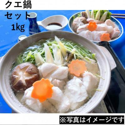 ふるさと納税 浜田市 【2025年11月〜順次発送】幻の天然物 クエ鍋セット 1kg
