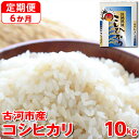 【ふるさと納税】【定期便 6か月】【新米】令和6年産 古河市産コシヒカリ 10kg（5kg×2袋）◇｜米 コメ こめ ごはん ご飯 ゴハン 白飯 単一米 国産 コシヒカリ こしひかり 10kg 定期便 6ヶ月 6回 茨城県 古河市 ギフト 贈答 プレゼント 贈り物 お祝 _DP44