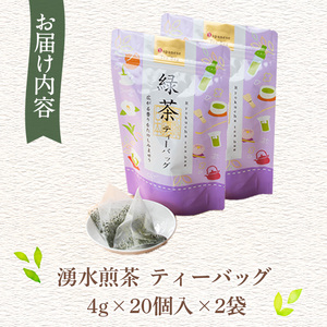 鹿児島県湧水町産！栽培期間中農薬・化学肥料不使用！湧水煎茶ティーバッグ 計40個(20個×2袋) 国産 九州産 鹿児島県産 茶葉 お茶 茶 日本茶 緑茶 煎茶 ティーバッグ ギフト 贈答 プレゼント 