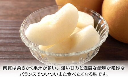 【先行予約】【数量限定】豊水梨　約10kg 【日本フルーツ株式会社】[ZFJ014]