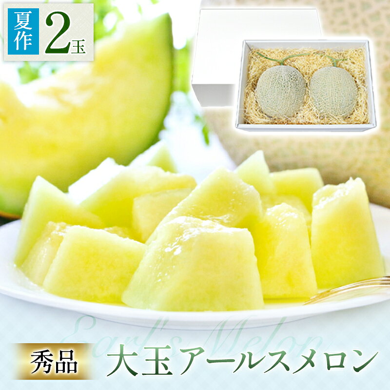 【ふるさと納税】 アールスメロン 秀品 2玉 先行予約 果物 フルーツ メロン 夏作 季節限定 期間限定 特産品 贈答品 お取り寄せ ギフト グルメ