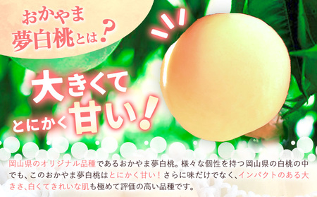 【2025年7月発送】 【先行予約】 もも 白桃 岡山 おかやま夢白桃 約2kg 5~9玉 《2025年7月中旬-8月上旬頃出荷》岡山県産 岡山の桃 ブランド桃 甘い なめらか 旬 果物 フルーツ 先