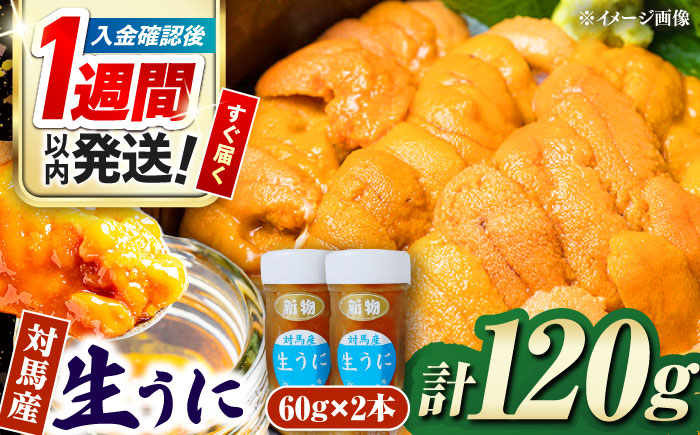【1週間以内発送】対馬産 生うに 60g×2本《対馬市》【保家商事】 ウニ うに 冷凍 生ウニ 雲丹 対馬 ムラサキウニ 紫ウニ  紫うに 人気 ランキング 長崎 九州 つしま 対馬市 海鮮 魚介 [WAA017] スピード発送 最速発送 最短発送