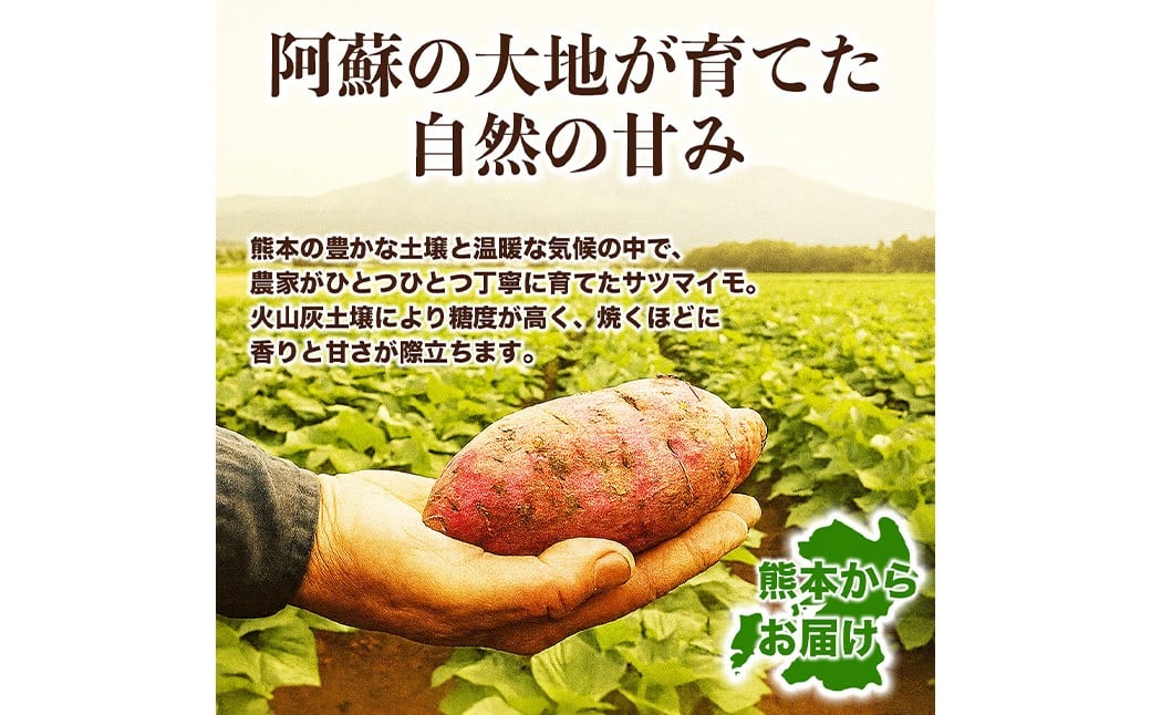 シルクスイート さつまいも 約5kg 