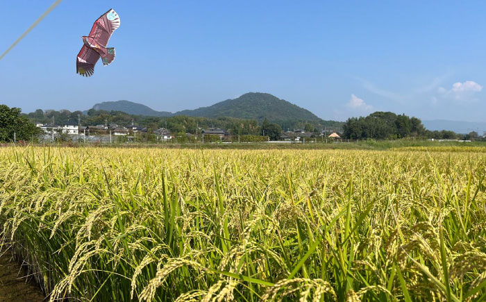 【先行予約】【数量限定】【天日塩を使用】一鹿米 旭一号 玄米 20kg【株式会社 夢アグリ】 [ZCL006]