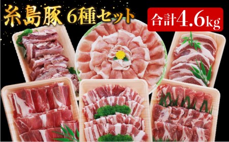 合計4.6kg！糸島豚食べ尽くしセット（とんかつ、肩ロース、しゃぶしゃぶ、豚バラ、スペアリブ、小間切れ） トラヤミートセンター 《糸島》[AJD005] 国産 豚肉 とんかつ 肩ロース しゃぶしゃぶ スペアリブ