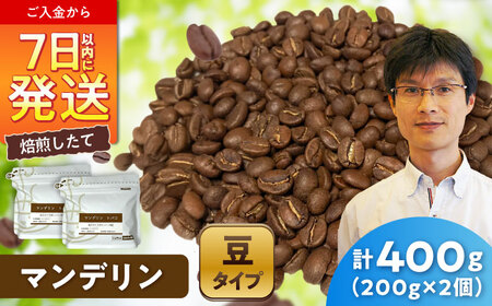マンデリンコーヒー(豆)　トバコ　200g×2 / 珈琲 コーヒー マンデリン / 瀬戸市 / Ｃｏｆｆｅｅ　ＳＡＫＵＲＡ[BBAB138]