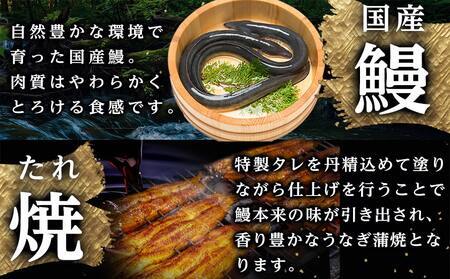 【母の日】大満足の夢コラボ☆うなぎ&厚切り牛タンセット≪5月7日～10日お届け≫_AC-3308-MG_(都城市) 訳あり 不揃い スリット加工 塩麹 牛 タン 国産うなぎ 蒲焼  母の日