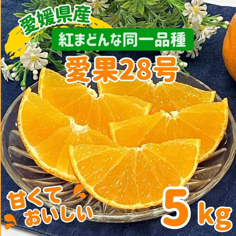 愛果28号 5kg バラ詰め みかん 紅まどんなと同一品種 農園直送 先行予約 12月から順次発送 愛媛 数量限定 愛媛県産 人気 柑橘 伊予市｜C92