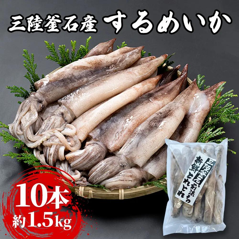 fn-64-002 三陸釜石産 するめいか 大容量パック！10本 約1.5kg 阪神低温