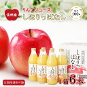  信州産りんごジュース  しぼりっぱなし 果汁100％ ( 1L × 6本 )