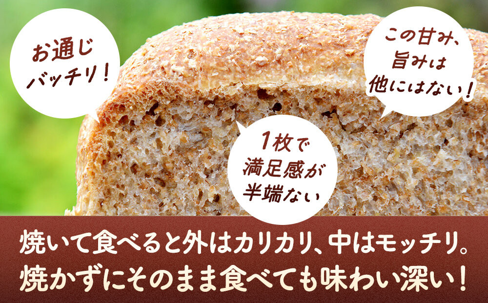 【6回定期便】 全粒粉 100％の 食パン 2本_05811