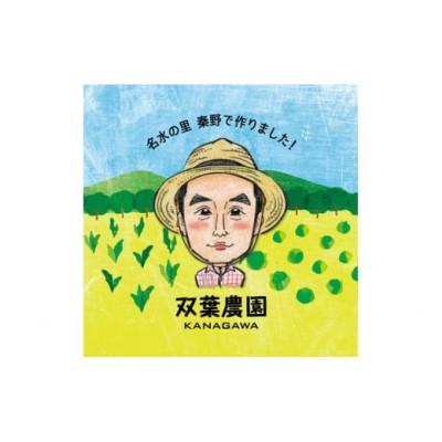 ふるさと納税 秦野市 〈2025年12月から発送予定〉秦野農産物等登録認証  葉にんにく約500g from名水の里 秦野 |  | 02