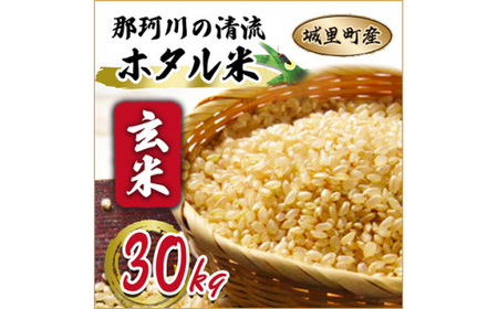  ≪新米≫ 那珂川の清流ホタル米 【玄米】30kg 検査1等 令和8年産 コシヒカリ スピード発送 スピード出荷 最短3～7営業日出荷 即納 産地直送 (AX007)