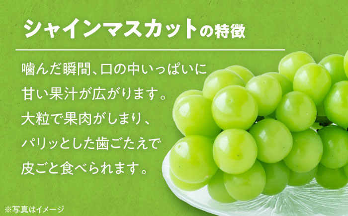 【先行予約】【9月初旬より順次発送】ジュワッと果汁が溢れ出る、家族みんなが笑顔になる。ご家庭用シャインマスカット約2kg（3〜5房）　愛媛県大洲市/沢井青果有限会社 [AGBN006]ぶどう 葡萄 フ