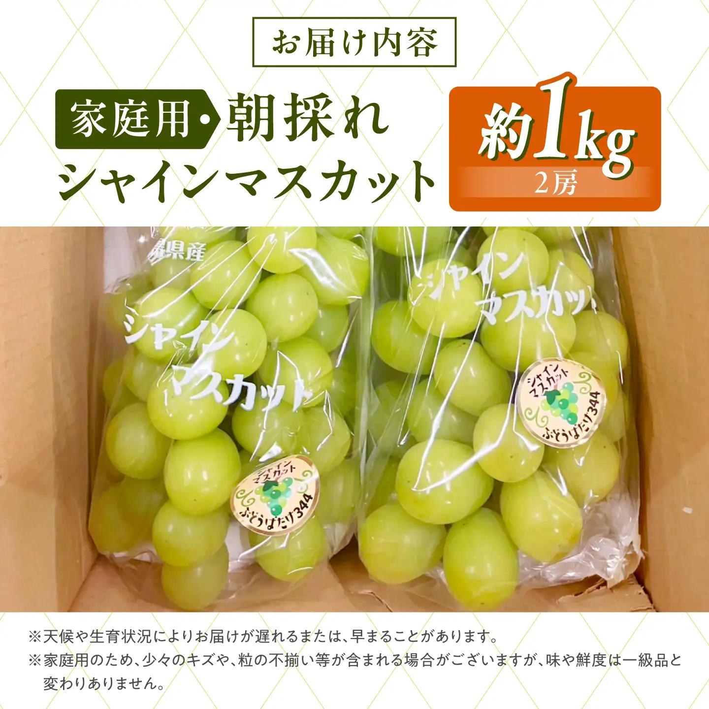 シャインマスカット 家庭用 約1kg [APDJ001]シャインマスカット