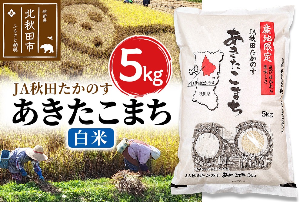 あきたこまち 白米5kg(5kg×1袋)  5キロ お米 令和7年産 秋田たかのす農業協同組合|jata-10301
