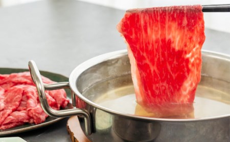 豊後牛ももしゃぶしゃぶ(600g) ギフトにもおすすめな人気のしゃぶしゃぶ用お肉【配送不可地域：離島】【1078153】