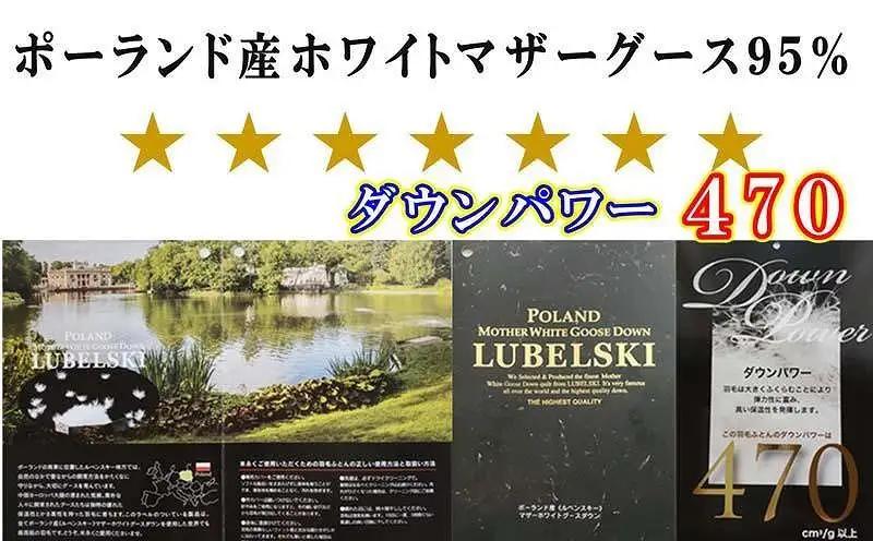【羽毛布団】掛け布団 シングル ポーランド産マザーグース95％ ダウンパワー470 【BE001】